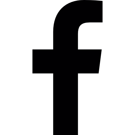 TikTok Icon